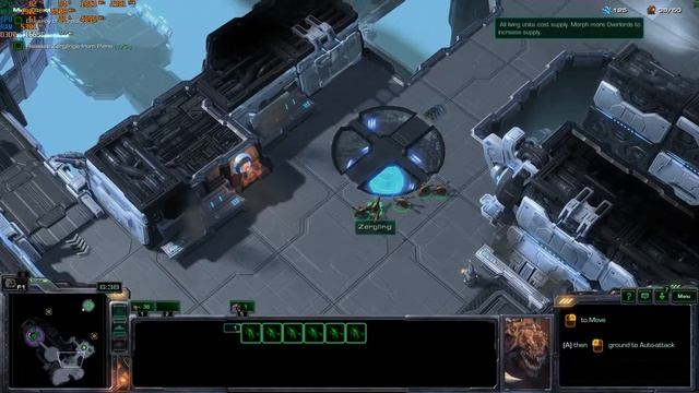 1080Ti + 8700K - EXTREME - Starcraft 2 FPS Benchmark - Heart Of The Swarm смотреть онлайн