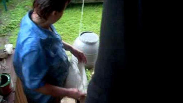 собачка пьёт дождик