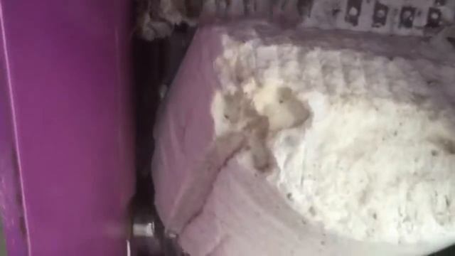 WT40120, измельчение слежавшейся соли NaCl смотреть онлайн