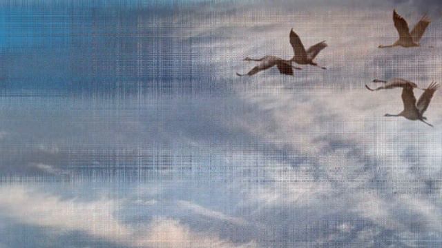 Заявка 816/2. Юрий Чеванин - Песня о далёкой Родине смотреть онлайн