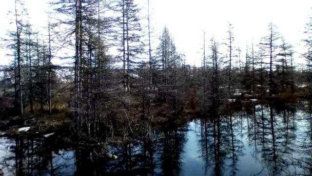 Весна на Чукотке(Илирней) смотреть онлайн