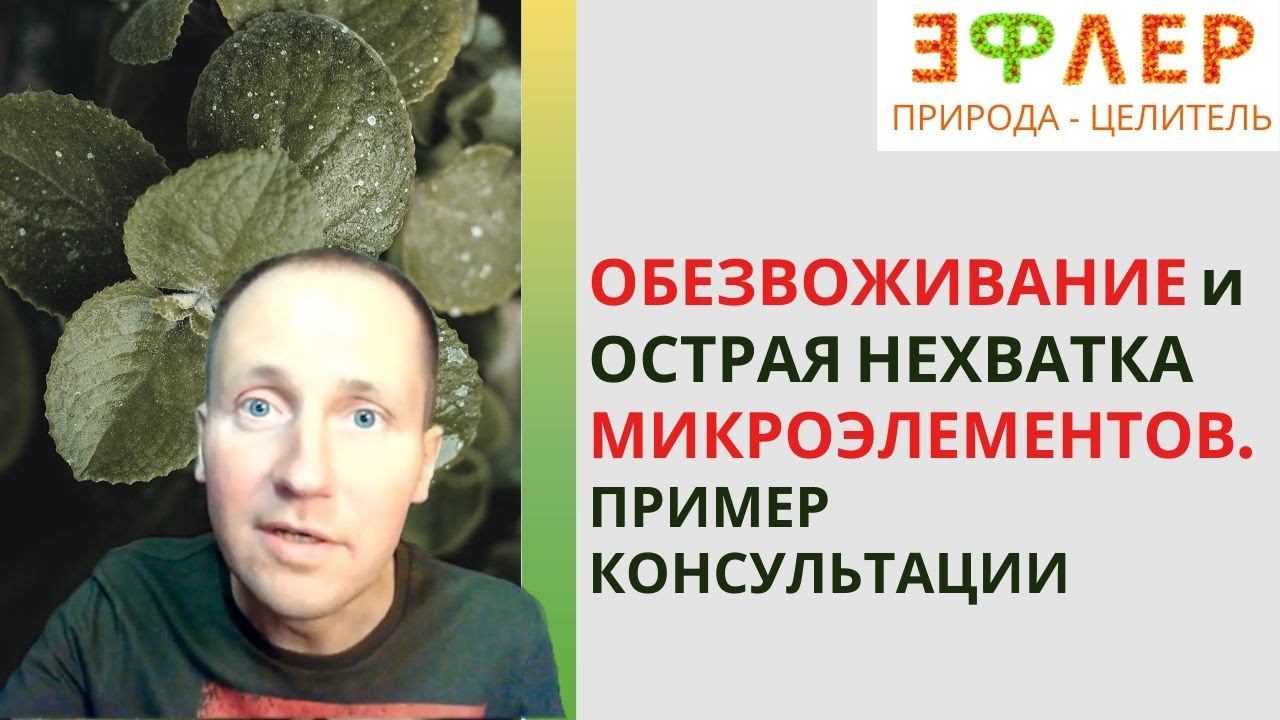 СНИЖЕННЫЕ ЗАПАСЫ МИНЕРАЛОВ | Степень Очищения РОБЕРТА ЛОКХАРТА | СУХОЕ ГОЛОДАНИЕ | ФРУКТОРИАНСТВО смотреть онлайн