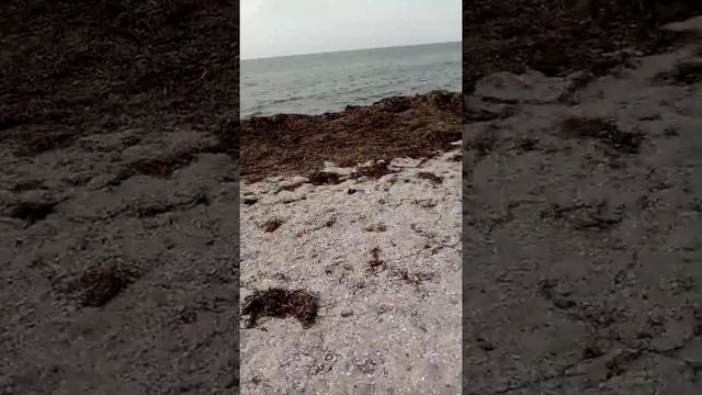 Как выглядит город Скадовск на карантине смотреть онлайн