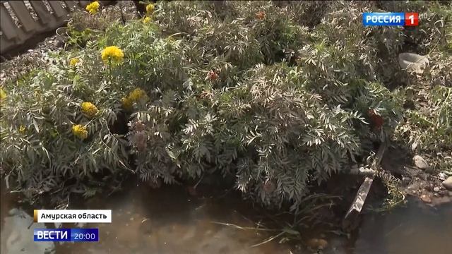 Киев может полностью лишиться электроэнергии с ЗАЭС