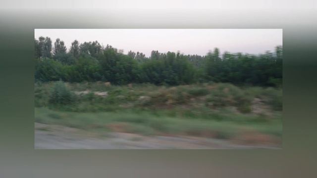 Яйпан | Куз | Фаргона канал | Далалар ( Ферганский канал, Хлопковый поле) смотреть онлайн