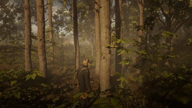 RDR 2 - Орхидея "Леди ночи" смотреть онлайн