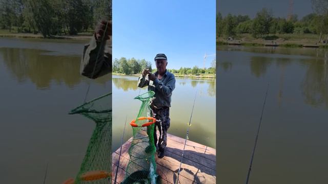 Бываем редко, но клюёт. Лучший рыболовный клуб. Улов. смотреть онлайн