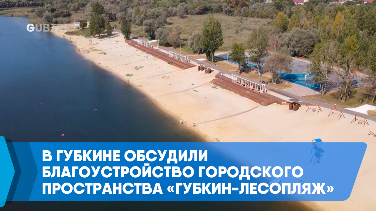 В Губкине обсудили благоустройство городского пространства «Губкин-Лесопляж»