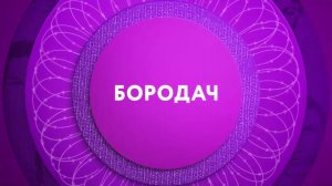 «Бородач» на ТНТ4!