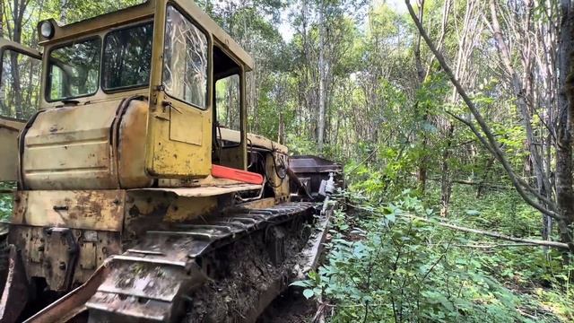 Бульдозер ЧТЗ Т130 Т170 расчищает деляну.