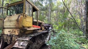 Бульдозер ЧТЗ Т130 Т170 расчищает деляну.