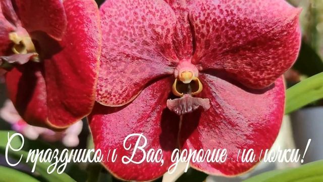 ПОЗДРАВЛЕНИЕ С ДНЕМ МАТЕРИ! Всем мамочкам посвящается! смотреть онлайн