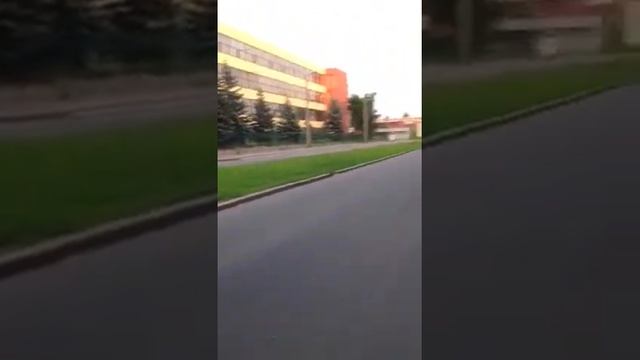 Дрессировка шпица 3 смотреть онлайн