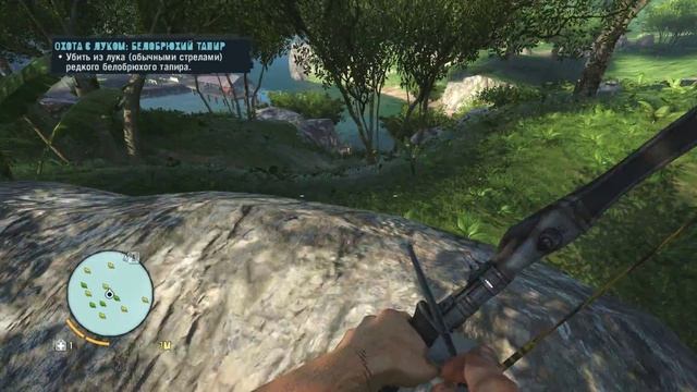Прохождение игры Far Cry 3. Путь охотника 2. Охота с луком: белобрюхий тапир. смотреть онлайн
