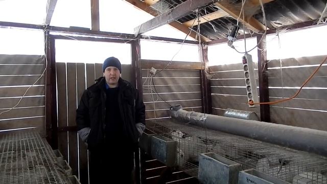 Сколько комбикорма едят кролики ??? смотреть онлайн