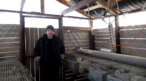 Сколько комбикорма едят кролики ???