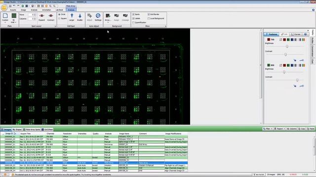 Image Studio 5.0 ‑ Plate Array Analysis Ribbon