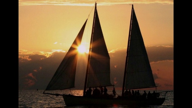 Wery  Vell - Slideshow