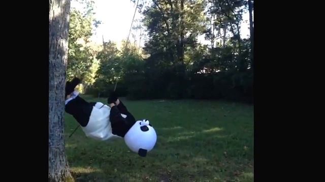 Wrecking Ball Panda смотреть онлайн