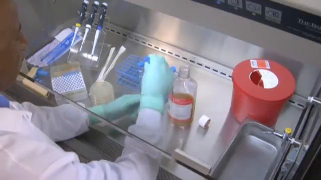 PREVIEW - Effective Use of Class II Biological Safety Cabinets (Digital Training Package) смотреть онлайн