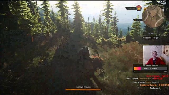 Посещаю Тризну короля Брана, половину вода удалил ютуб! Прохождение Ведьмак 3 Скелиге ч.1 смотреть онлайн