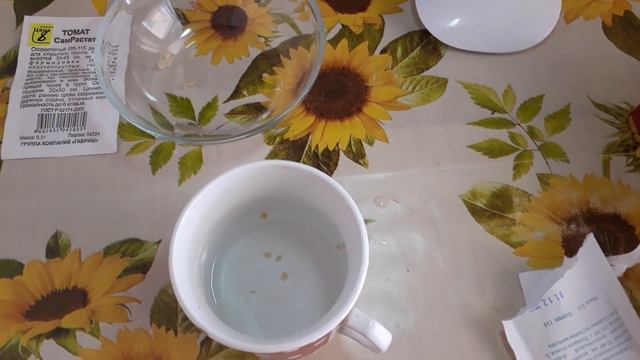 Рассада 2019//ЭКСПЕРИМЕНТ//ПОСЕВ ПЕРЦА 2019//РАЗНЫЕ СПОСОБЫ ПОСЕВА//