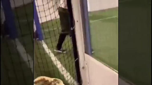 Видео,приколы,юмор,смех смотреть онлайн