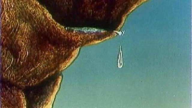 Сладкий родник смотреть онлайн