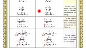 ВЫ ЗНАЛИ КАКИЕ ВИДЫ ОСТАНОВОК ЕСТЬ В КОНЦЕ АЯТА?  ПОДРОБНО В ЭТОМ УРОКЕ. ОБУЧЕНИЕ КОРАНУ И ТАДЖВИДУ