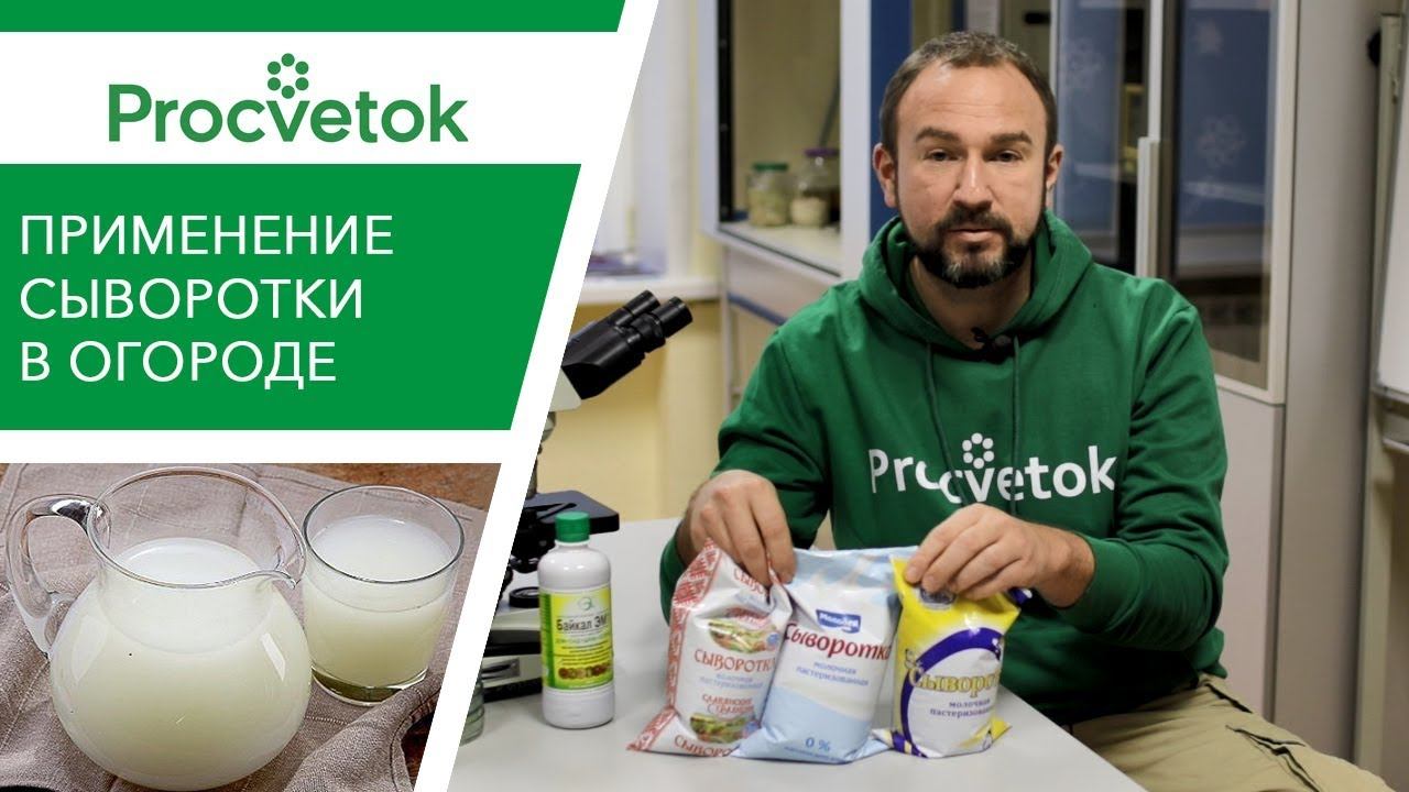 Что будет, если подкармливать растения молочной сывороткой? смотреть онлайн