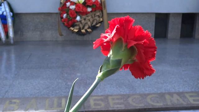 Цветы на могилы павших героев штурма Кёнигсберга смотреть онлайн