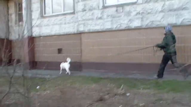 Лена Марта 2 смотреть онлайн