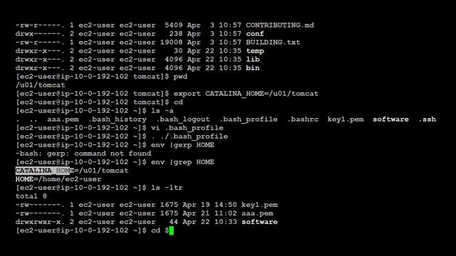 AWS install TOMCAT on EC2 Part 7 AWS web-based application setup смотреть онлайн