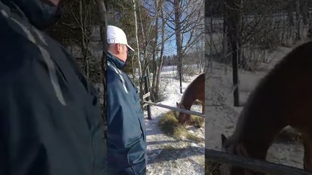 TalkTerno jakso 5 Pasi Aution tallilla смотреть онлайн