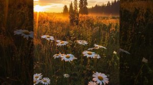 Поль Мориа Серинада