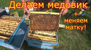ДЕЛАЕМ МЕДОВИК!!! + замена матки на медосборе!!!