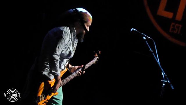 Pigeons Playing Ping Pong - "King Kong" (Recorded Live for World Cafe) смотреть онлайн