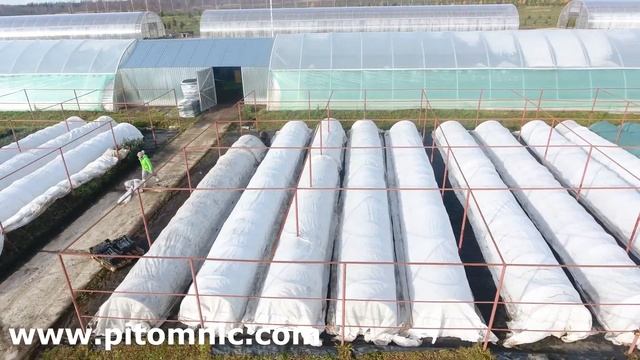 Укрытие растений на зиму