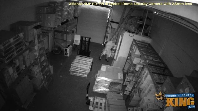 Day / Night IR Demo - TVIOD-ALE4IR28 - Alliance 4MP 2.8mm HD-TVI IR Eyeball Dome Security Camera смотреть онлайн
