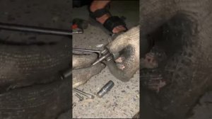 не заводится  Kia Spectra, полный разбор оживления #Kia #автоэлектрикдиагност #запускавто