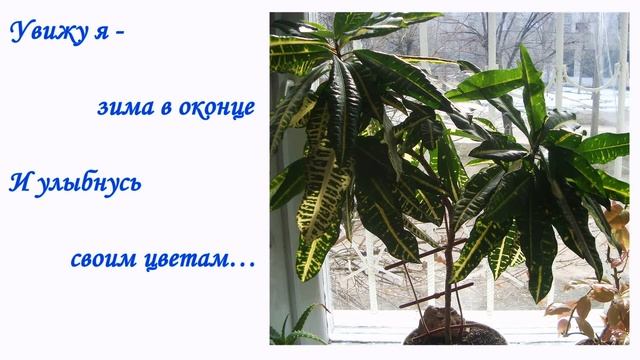 Плыть по Реке смотреть онлайн