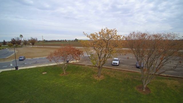 Patterson view! смотреть онлайн