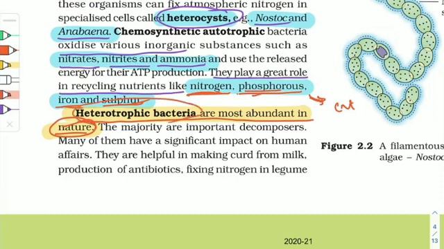 NEET Important MCQ🔥🔥🔥//Biological Classifications🍄🍄 (part:1)/neet latest news //#neet #nta смотреть онлайн