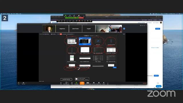 Трансляция ZOOM для преподавателей смотреть онлайн