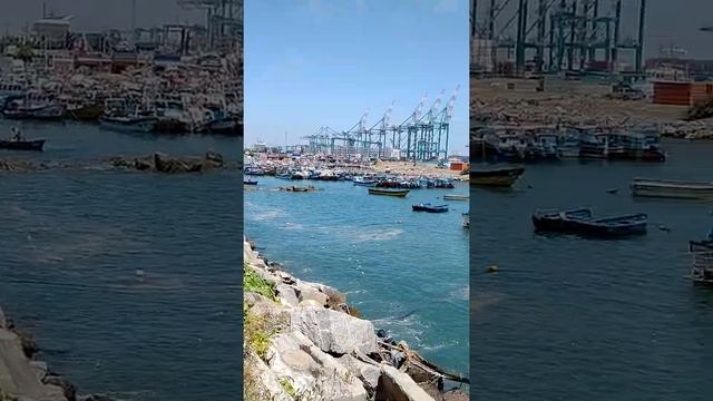 SAN ANTONIO ( CHILE ) смотреть онлайн