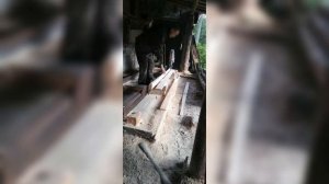 Самодельная дисковая пилорама в работе