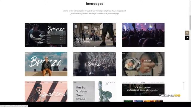 Bronze - A Professional Music WordPress Theme music playlist Reira смотреть онлайн