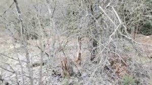 170 РАКЕТНЫЙ ПОЛК, 49 дивизии РВСН! Воинская часть в д. Минойты. Беларусь!