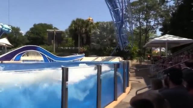 Правильный дельфинарий. смотреть онлайн