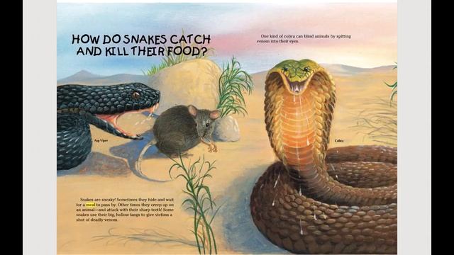Know It Alls! Snakes - A Twin Sisters® eBook with Audio смотреть онлайн